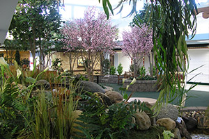 Renville Health Services