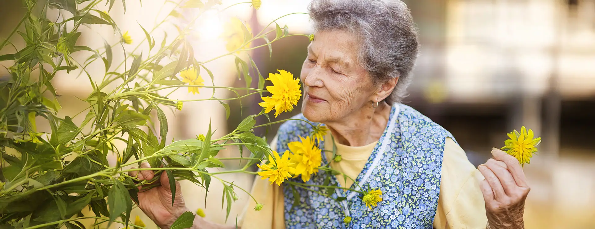 Elderly woman in a blue floral vest, enjoying the garden at Littlefork Care Center, smells yellow flowers in sunlight, holding one bloom gently in her hand. Elderly woman in a blue floral vest, enjoying the garden at Littlefork Care Center, smells yellow flowers in sunlight, holding one bloom gently in her hand.