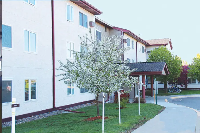 A small tree with white blossoms stands in front of a three-story apartment building with light-colored walls and brown trim. A small tree with white blossoms stands in front of a three-story apartment building with light-colored walls and brown trim.
