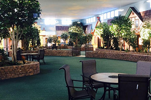 Morris Health Services