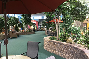 Zumbrota Health Services