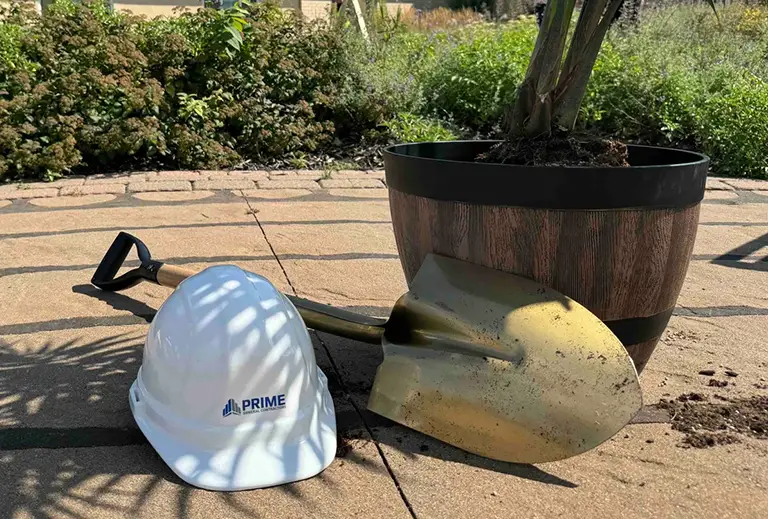 A white hard hat and a gold shovel are placed next to a large potted plant on a paved surface outdoors.